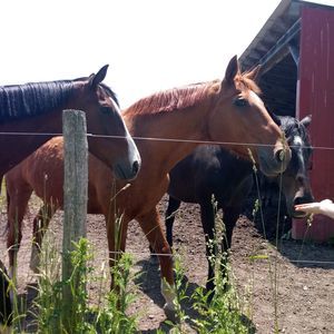 Meet your Posher, Leann